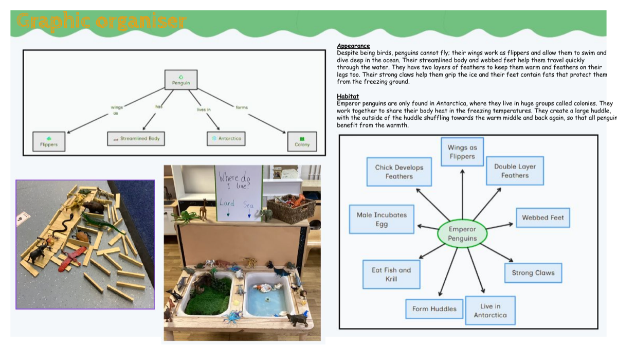 A penguins organiser built with the class, alongside an Antarctica small-world area.